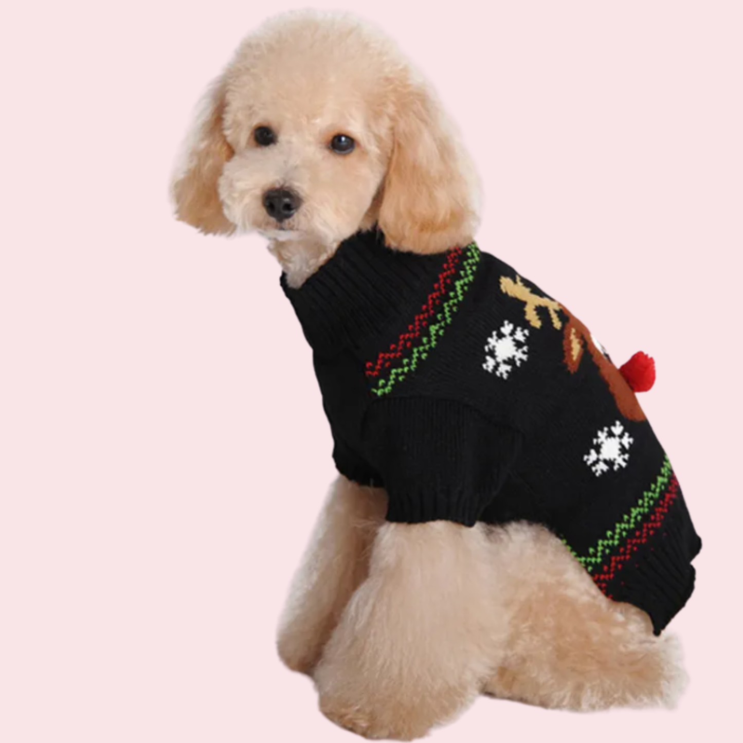 Maglioncino natalizio